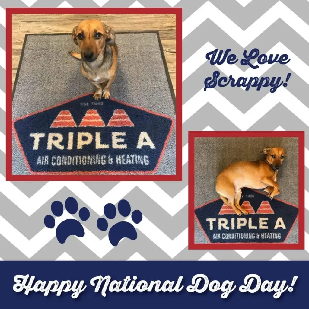 Triple A - Happy National Dog Day
