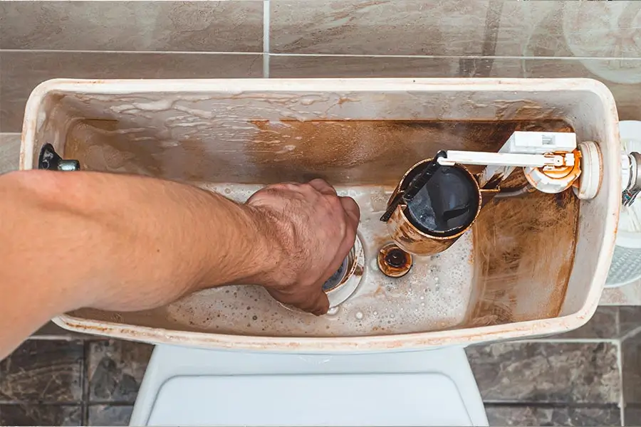 Clogged Toilet Repair Process Works